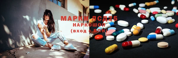 прущие грибы Каменка