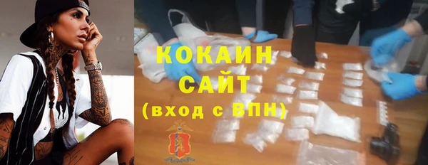 хмурый Осинники