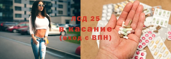 хмурый Осинники
