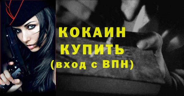 хмурый Осинники